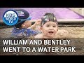 William and Bentley went to a water park! [The Return of Superman/2019.05.23]