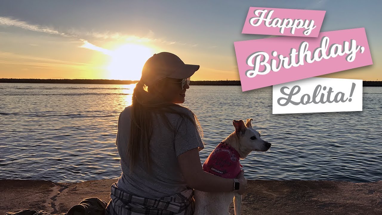 video phone beyonce mp3 VLOG | CELEBRATING OUR PUP'S 10TH BIRTHDAY!