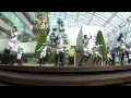 Rev. from DVL / 君だけのストーリー @博多リバレインどんたく祭り 2013-05-04