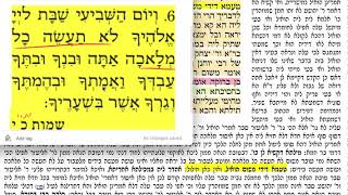 דף יומי מסכת פסחים דף מח Daf yomi Pesachim daf 48 שמואל נבון לע״נ אליהו בן חנה ז״ל