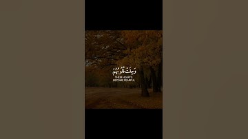 أرح سمعك 🥀القارئ: ناصر القطامي 🍃
