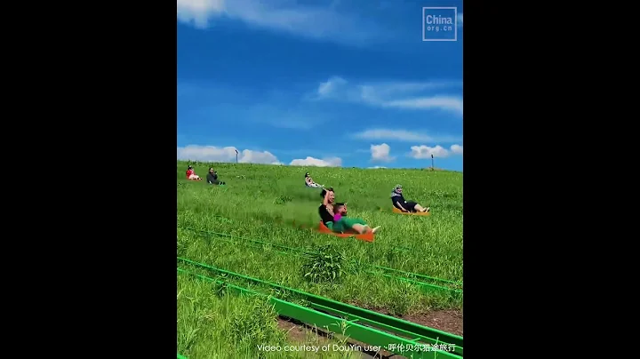 Thrilling Grass Sliding Adventure in Hulunbuir - Asia's Longest!   沉浸式体验大草原1200米滑草 - DayDayNews