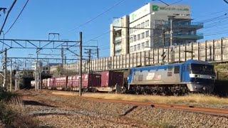 2019/11/12 高速貨A 1060レ EF210-126