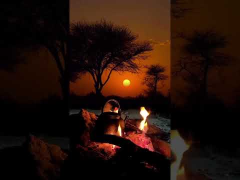 ياخاطري لاباح صبرك ومليت مالك على المقسوم صده وحيله دارك شعر وقصائد اكسبلور شيلات اغاني 