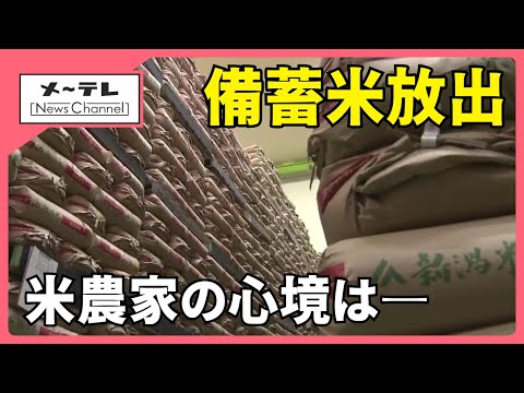 備蓄米21万トン放出決定、小売り価格はすぐには下がらない可能性も　農家は複雑な思い