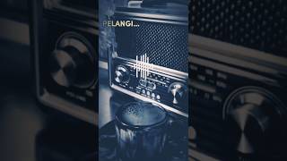 Boomerang  Pelangi boomerang boomers pelangi boomerangband shorts fyi fyp royjeconiah 4u