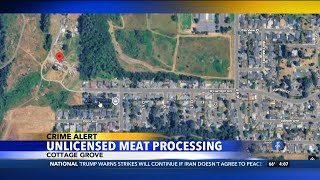 Unlicensed Meat Processing Plant