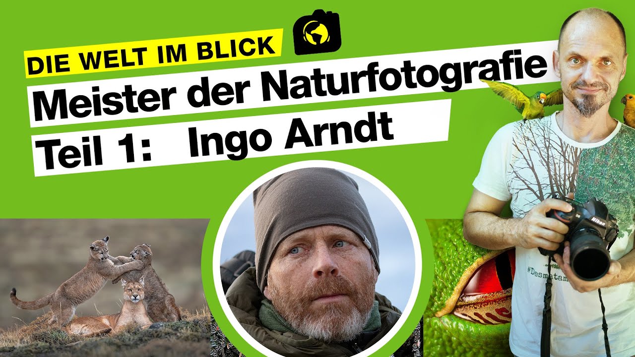 Meister der Naturfotografie: Ingo Arndt 🔴 