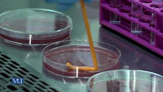 Bacterial Cell Count | Microbiology (Practical) | MIC501P_Topic011