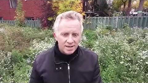 Vlog #116 - Healthy Steem Blockchain Indicator & Fish Rank Level