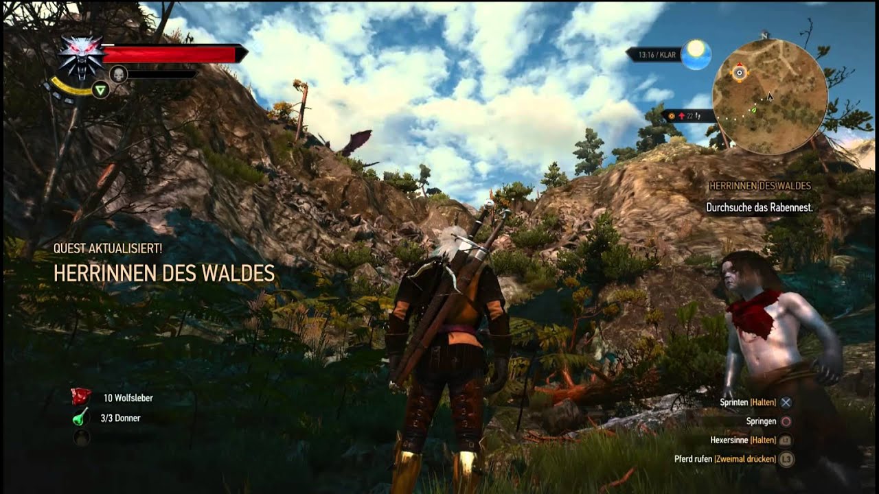 The Witcher 3 Herrinnen Des Waldes Buch Finden Die Herrinnen Des Waldes Ein Fesselndes Kapitel In Der Witcher-Saga