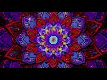 VJ LOOP 4K | ANIMATION | Ethnic Colorful Mandala 1 Motion Graphics Visuals for Live Shows & DJ Sets
