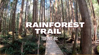 You Won’t Believe This 1KM Rainforest Trail in Tofino, BC