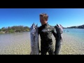 Spearfishing Australia with everything in-between