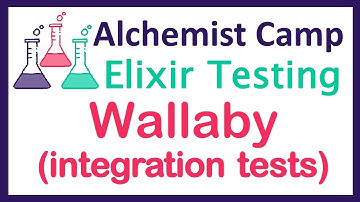 Integration testing Elixir with Wallaby