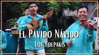 Los Yolpakis - El Pávido Návido y Chilito Piquín chords