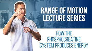 How the Phosphocreatine System Produces Energy