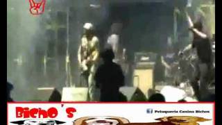La Vela Puerca  Cosquin Rock 2012