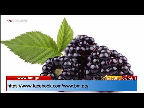 საქმის კურსი (24.09.2017)