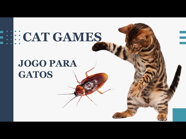 JOGOS DE GATOS 🐱 - Jogue Grátis Online!