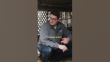 Mouse Problem? Check for Clutter Under your Deck! #shorts