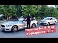 🚔 Полиция на кормушке, но 🥚🥚 забыли получить