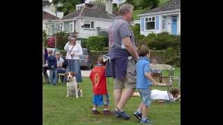 Golant  Carnval & Water Sports 2010