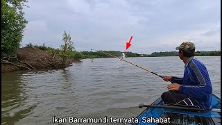 Download Lagu Setelah strike dua ekor ikan Barramundi,pulang langsung bakar ikan Bumblebee dan ikan Barramundi MP3 Download Lagu Setelah strike dua ekor ikan Barramundi,pulang langsung bakar ikan Bumblebee dan ikan Barramundi MP3