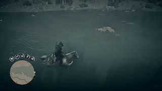 Red Dead Redemption 2 - Calumet Ravine Glitch (or ghost)