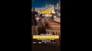 POLICE RAID COCKFIGHTING RING IN SITUBONDO, 5 ARRESTED #short