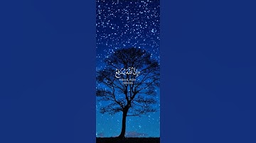 آيات بينات من الذكر الحكيم بصوت رائع وجميل ❤ #اكسبلور #المغرب #القرآن_الكريم #المصحف #حالات_واتس