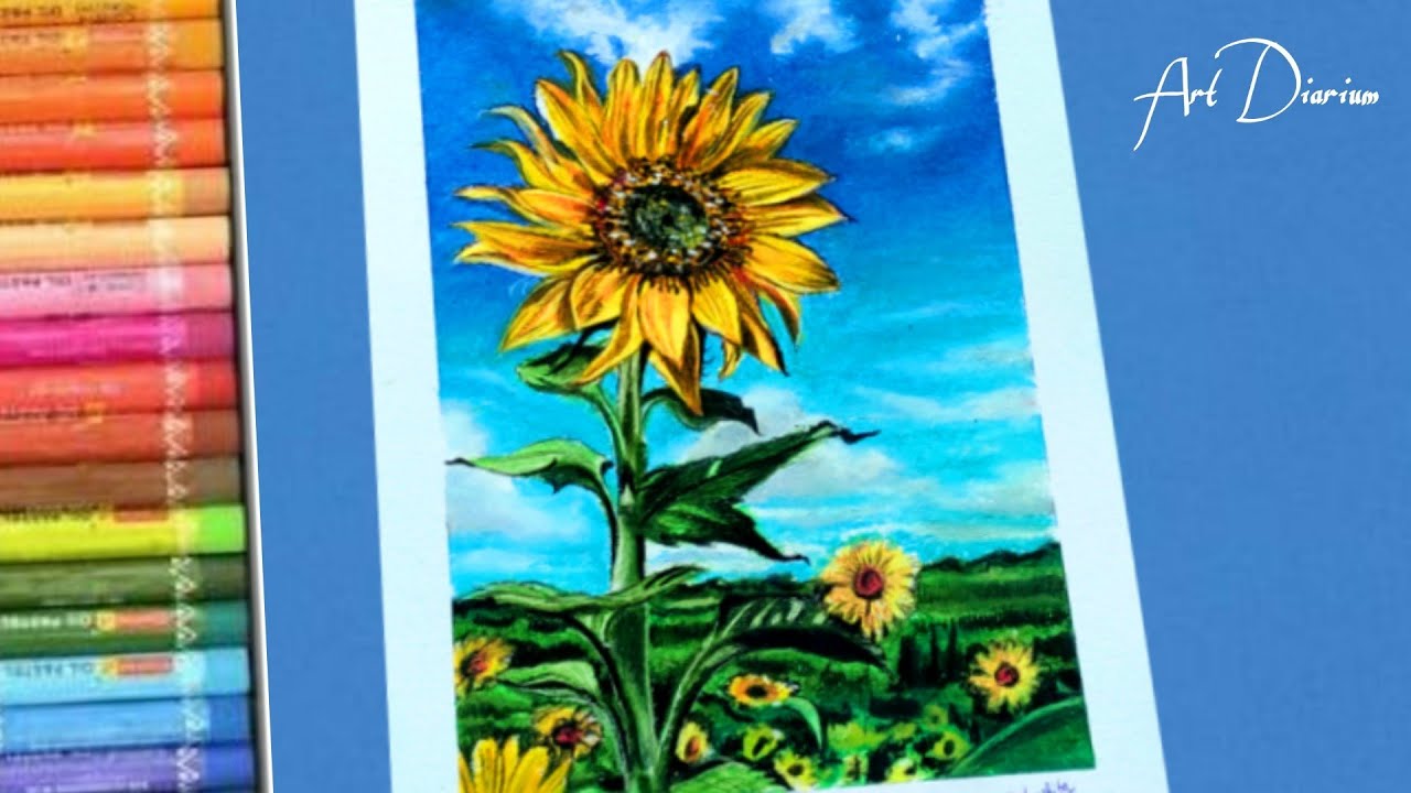 Sunflower Drawing with Oil Pastels for Beginners Step by Step YouTube