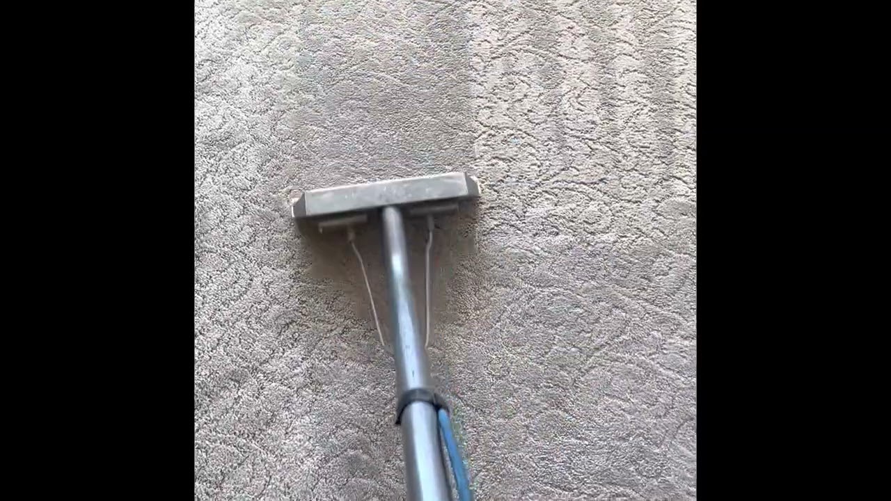 Steam carpet cleaning in Meridian Idaho