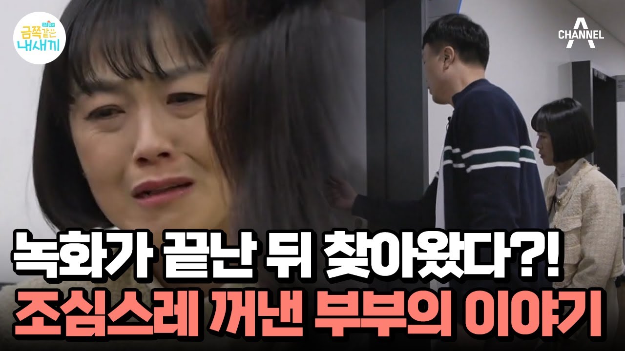 !돌발 상황! 녹화 후 오박사를 찾아온 부부!? 엄마가 변화를 두려워하는 이유 | 요즘 육아 금쪽같은 내새끼 186 회