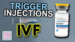 Optimizing your IVF procedure for Max Success - The IVF Trigger Shots
