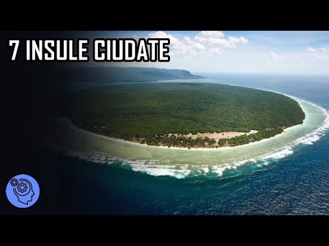 Video: Unde sunt insulele S altee?