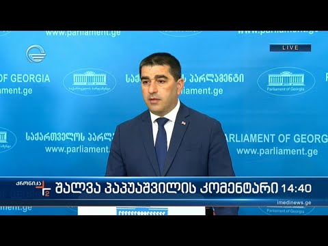 შალვა პაპუაშვილის კომენტარი