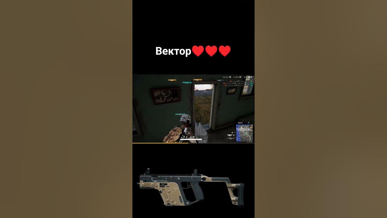 #pubg #пабг #вектор #моментыpubg - YouTube