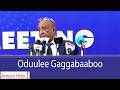 AMECO HIBIR Oduulee Gaggabaaboo 01 07 2018 AMECO HIBIR Oduulee Gaggabaaboo 01 07 2018