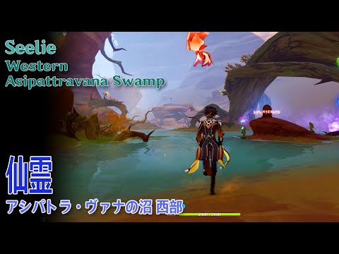 【原神】ニローダの実で解放する仙霊/アシパトラ・ヴァナの西、北岸（#47634）[Seelie,West of Asipattravana Swamp,Nirodha fruit,Sumeru]