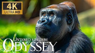 Untamed Kingdom Odyssey 🦁 Discover the Animal Realm with Peaceful Piano Tunes 🎶