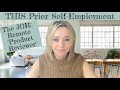 Past "Work" of Product Reviewer for Major Internet Retailer as a Hobby and IMPACT on SSD claim