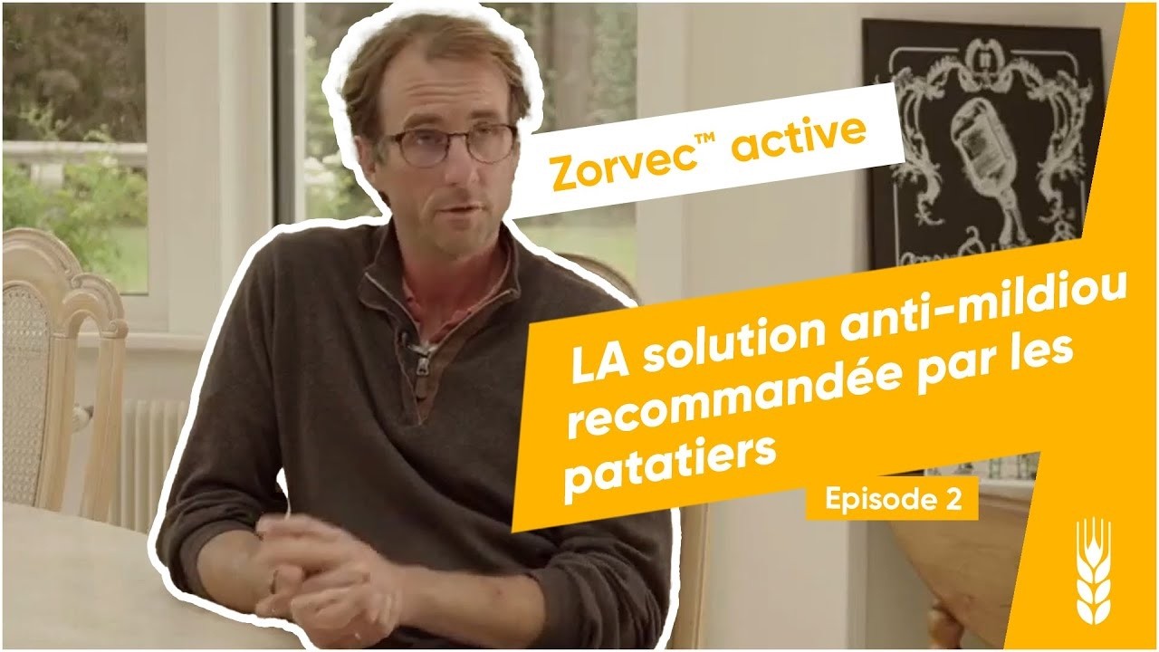 Mildiou de la pomme de terre : comment protéger ses cultures ? | Zorvec™ active #2