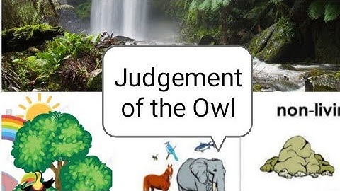 Notes of Lesson no : 3, Class : 3, "Judgement of the Owl".