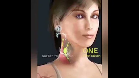 瘦身新科技闪钻金耳饰，经过验证的耳穴疗法  促进代谢 - 天天要闻