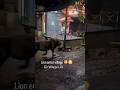 Gir Village Life Man Vs Lion Human Conflict Gir Forest Gir Village Lion Safari Leo