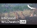 WILDwatch Live | 30 July, 2020 | Morning Safari | South Africa