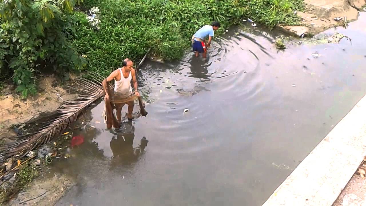 Nelayan Bangladesh Menjala Ikan Di Sungai Betong Jerantut 