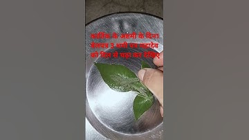 कार्तिक महीने की अष्टमी को करें 1 बेलपत्र 3 शमी पत्र का अचूक उपाय # pandit Pradeep Mishra ji#upay# 🙏