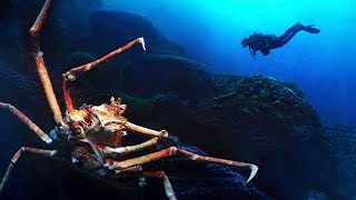 видео: 50 доказательств того, что океан страшнее, чем космос картинка: 50 доказательств того, что океан страшнее, чем космос